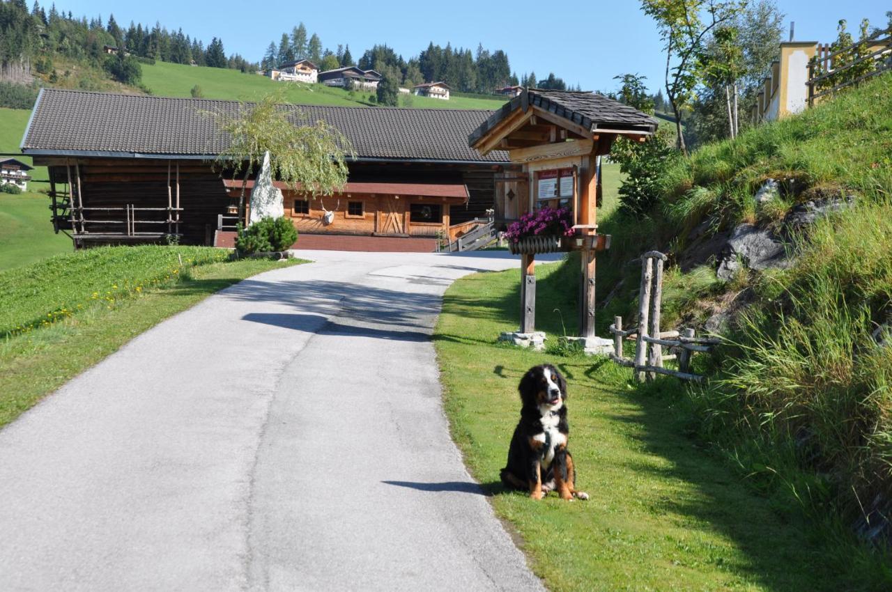 Das "Zwislegggut" Wagrain Exteriör bild